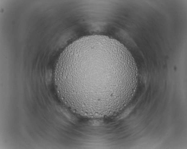 X0000067950660200604272101