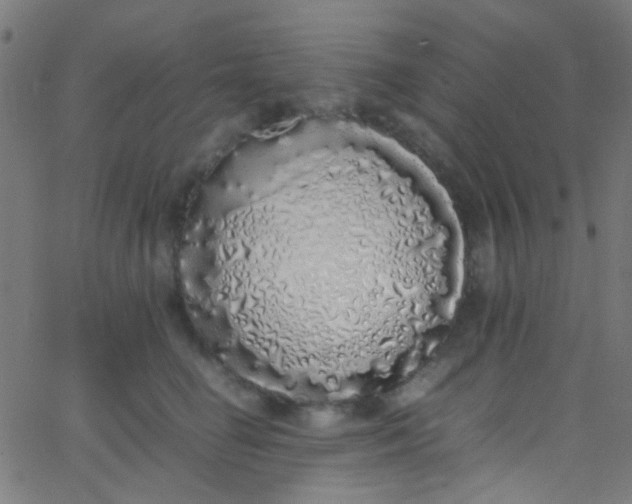 X0000067950662200604272101