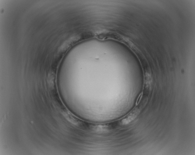 X0000067950664200604272101