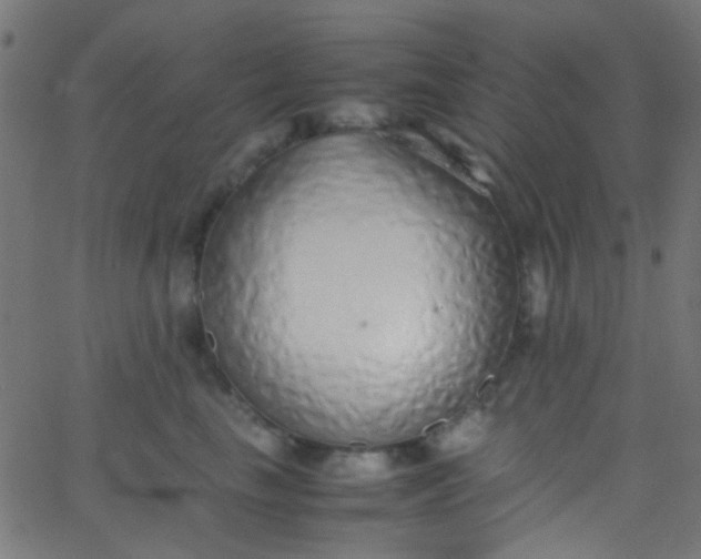 X0000067950665200604272101