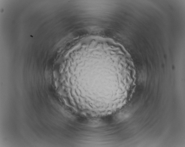 X0000067950666200604272101