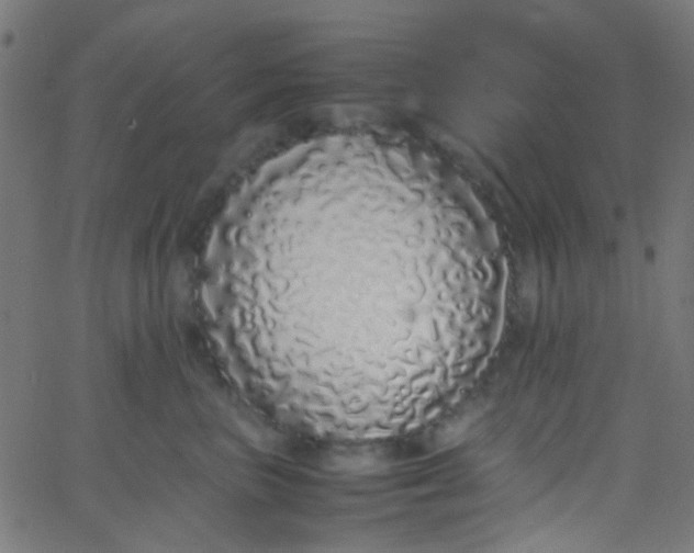 X0000067950667200604272101