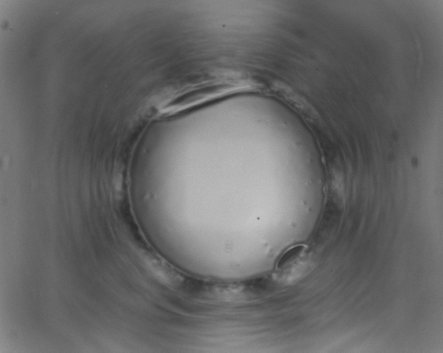 X0000067950668200604272101