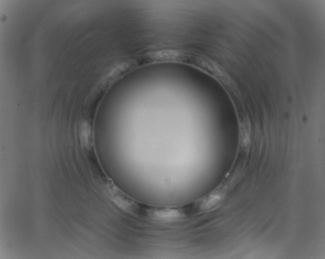 X0000067950669200604272101