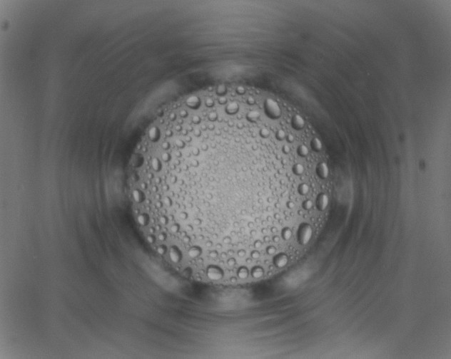 X0000067950670200604272101