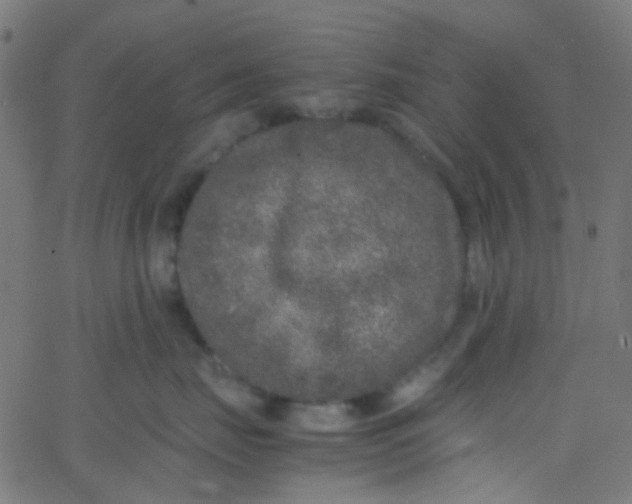 X0000067950671200604272101