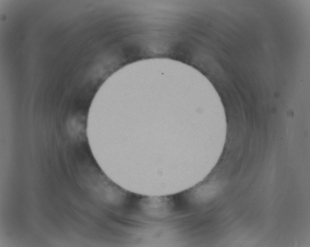 X0000067950672200604272101