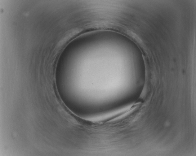 X0000067950673200604272100