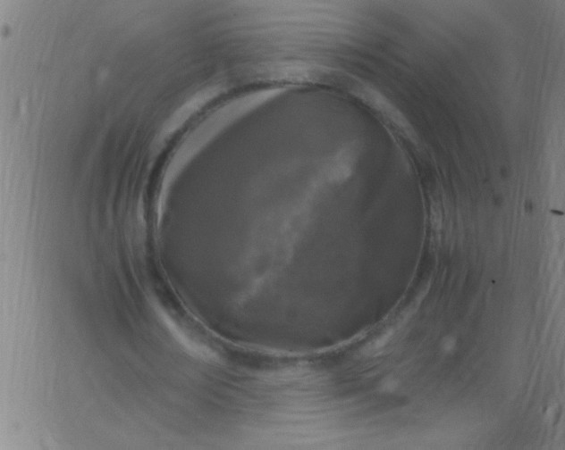 X0000067950674200604272100