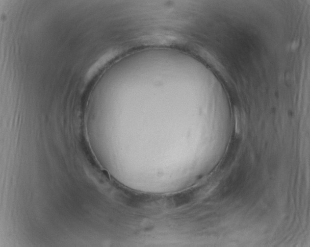 X0000067950675200604272100