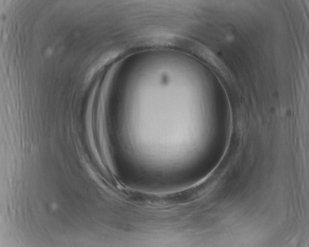 X0000067950677200604272100