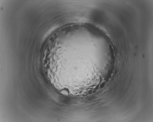 X0000067950679200604272100