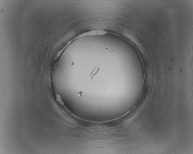 X0000067950681200604272100