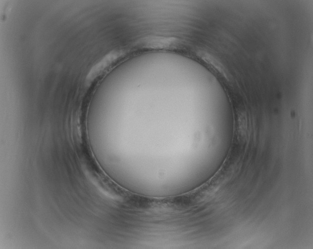 X0000067950682200604272100