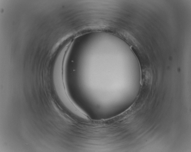 X0000067950684200604272100