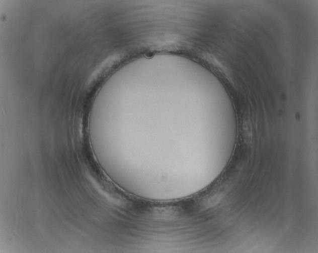 X0000067950686200604272100