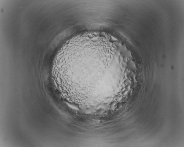 X0000067950687200604272100