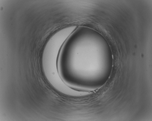 X0000067950689200604272100