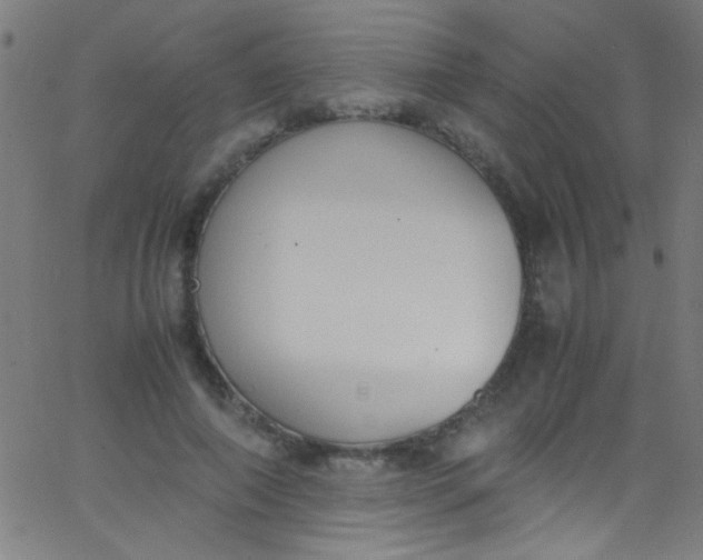 X0000067950690200604272100