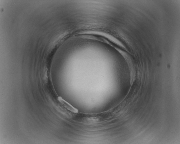 X0000067950692200604272100