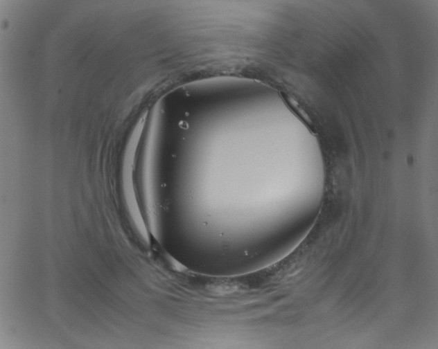 X0000067950693200604272100