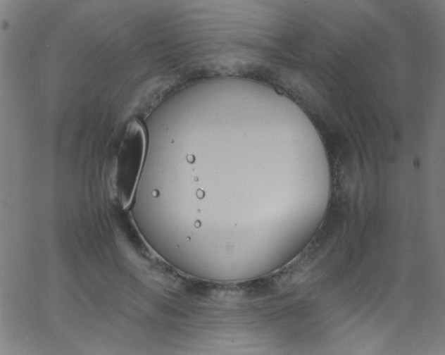 X0000067950694200604272100