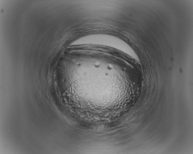 X0000067950695200604272100