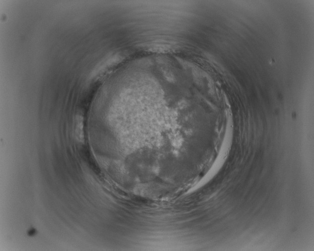 X0000067950696200604272100