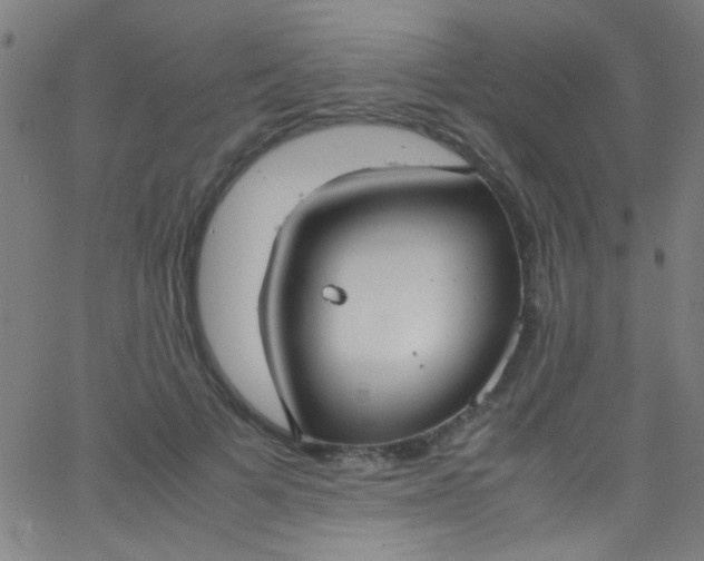 X0000067950697200604272100