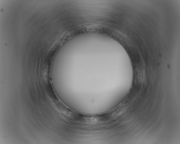 X0000067950698200604272100