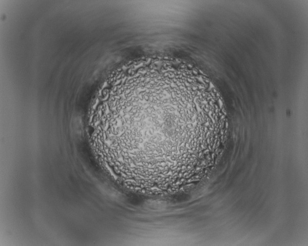 X0000067950699200604272100