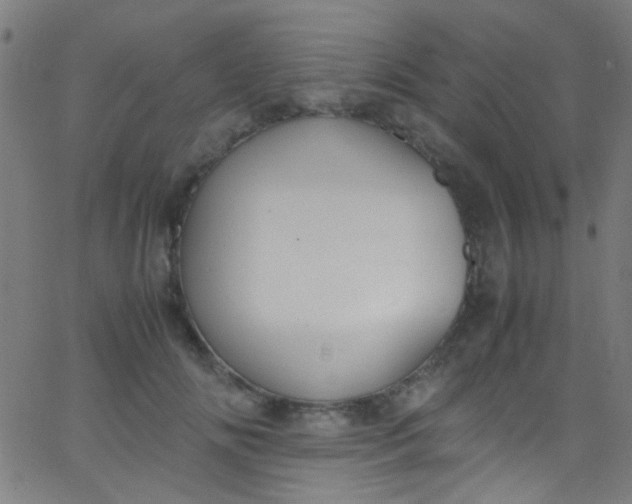 X0000067950702200604272059