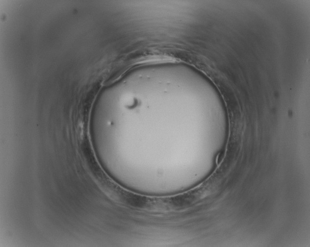 X0000067950703200604272059