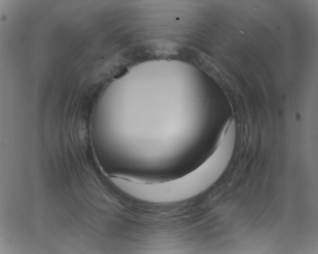 X0000067950704200604272059