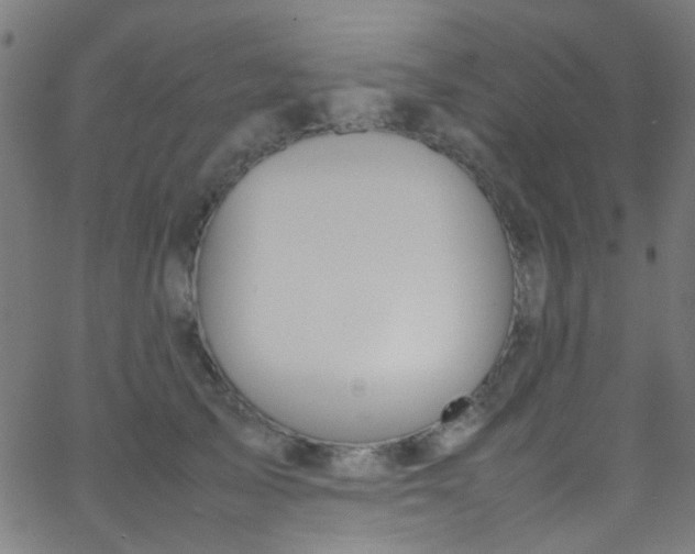 X0000067950705200604272059