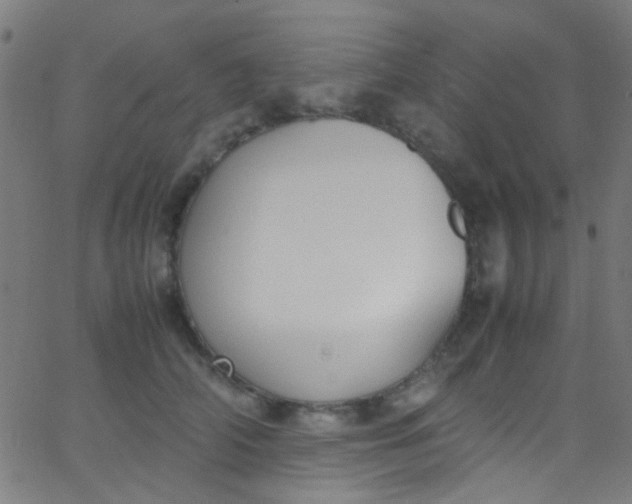 X0000067950706200604272059