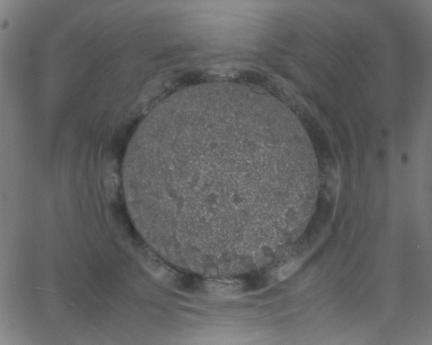 X0000067950707200604272059