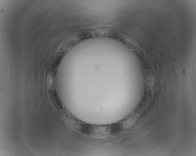 X0000067950709200604272059