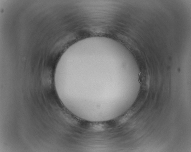 X0000067950710200604272059