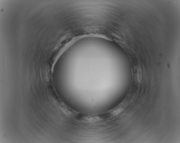 X0000067950712200604272059