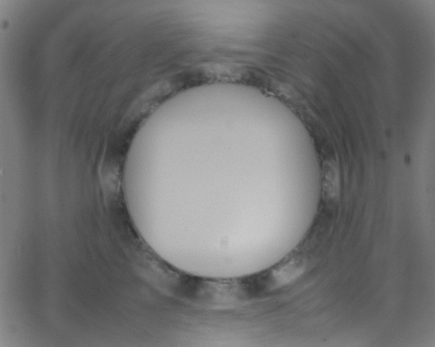 X0000067950713200604272059