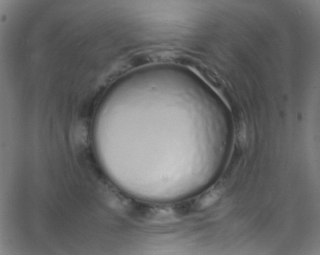 X0000067950715200604272059