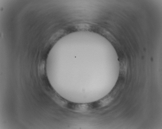 X0000067950717200604272059