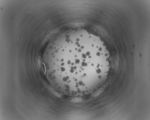 X0000067950718200604272059