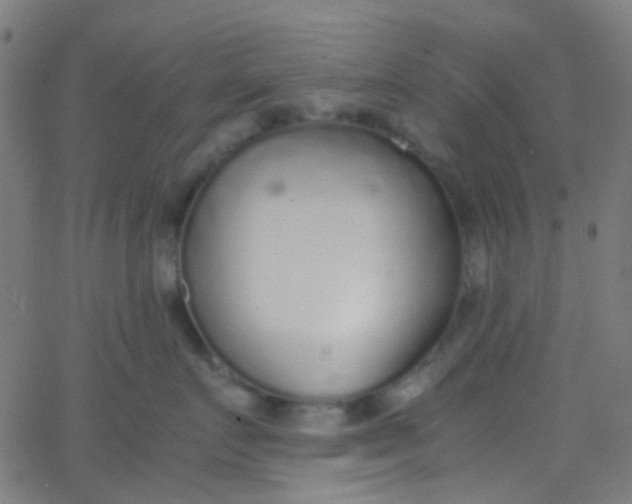 X0000067950719200604272059