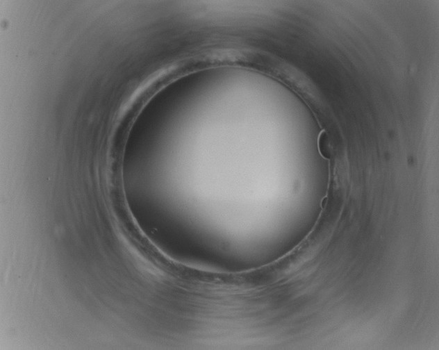 X0000067950722200604272058