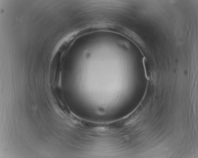 X0000067950724200604272058