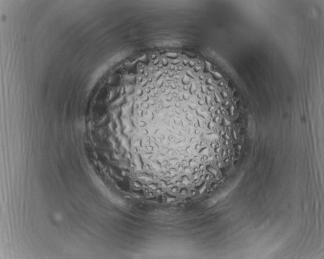 X0000067950725200604272058