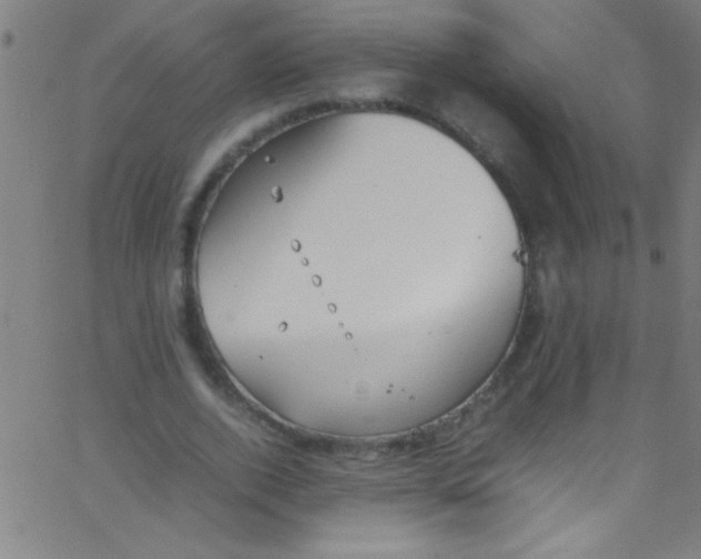 X0000067950728200604272059