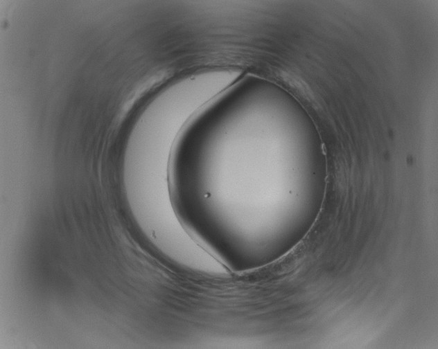 X0000067950731200604272059